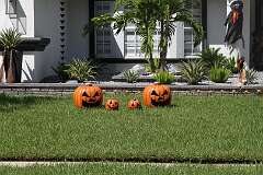 189: DonManfria_2025-269