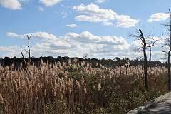 88: DonManfria_2025-284