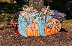 106: MarkShelly_2025-241