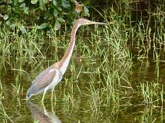 95: MikeGlass_2025-40