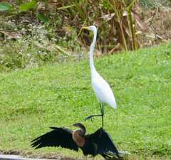 186: MikeGlass_2025-44