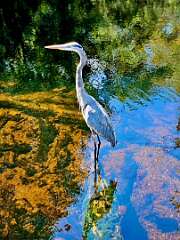 119: MikeGlass_2025-45