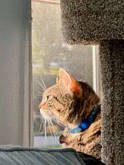 8: MikeGlass_2025-47