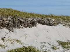 54: MikeGlass_2025-48