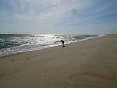 228: MikeGlass_2025-50