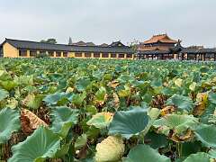 199: Xue-MingBao_2025-20