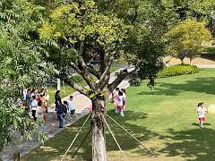 41: Xue-MingBao_2025-21