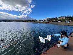 62: Xue-MingBao_2025-26