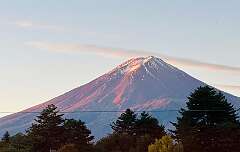 153: wendyTao_2025-41