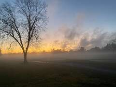 148: BerniceBailine_2025-51