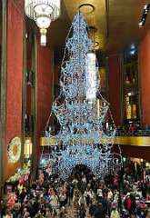 102: CarolAnnManfria_2025-50