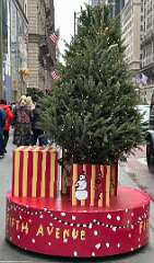 57: CarolAnnManfria_2025-52