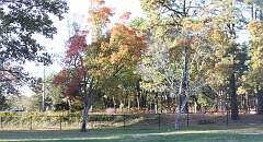 72: DonManfria_2025-291