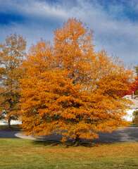 18: MarkShelly_2025-258