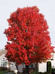 144: MarkShelly_2025-259