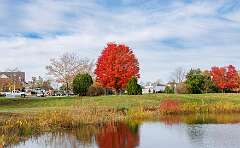 16: MarkShelly_2025-260