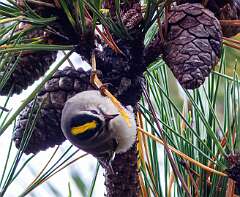 15: MarkShelly_2025-264