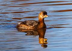 133: MarkShelly_2025-266