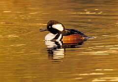 149: MarkShelly_2025-271