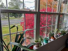 13: Xue-MingBao_2025-31