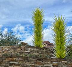 137: Xue-MingBao_2025-37