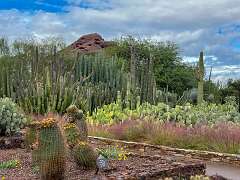 79: Xue-MingBao_2025-38