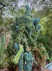 91: Xue-MingBao_2025-39