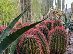 129: Xue-MingBao_2025-40