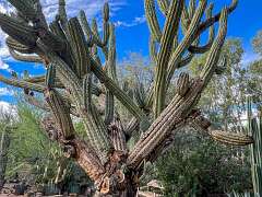 126: Xue-MingBao_2025-49