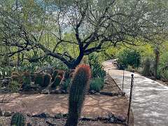 54: Xue-MingBao_2025-51