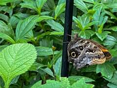 55: Xue-MingBao_2025-65