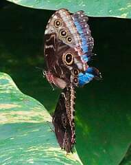 105: wendyTao_2025-62