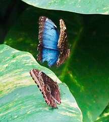 119: wendyTao_2025-63