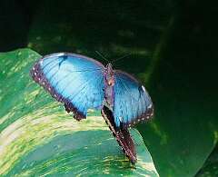 14: wendyTao_2025-65