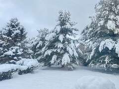 107: AnnaSheldon_2025-9