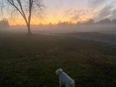 105: BerniceBailine_2025-49