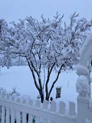 223: BerniceBailine_2025-54