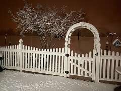 186: BerniceBailine_2025-57