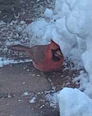 54: BerniceBailine_2025-67