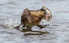 253: BillKirms_2025-352