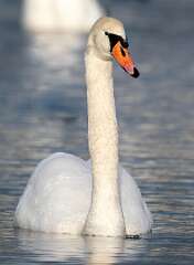 292: BillKirms_2025-354