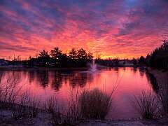 177: BillKirms_2025-359