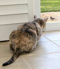 236: BillKirms_2025-372