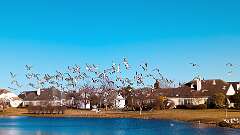 39: BillKirms_2025-378