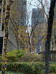 128: CarolAnnManfria_2025-49