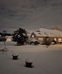 157: CeciliaRomano_2025-10