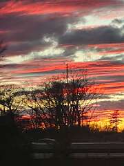 36: CeciliaRomano_2025-13