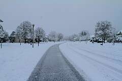 79: DonManfria_2025-315