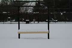 246: DonManfria_2025-318