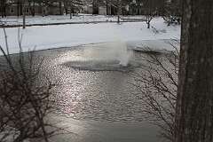 110: DonManfria_2025-321